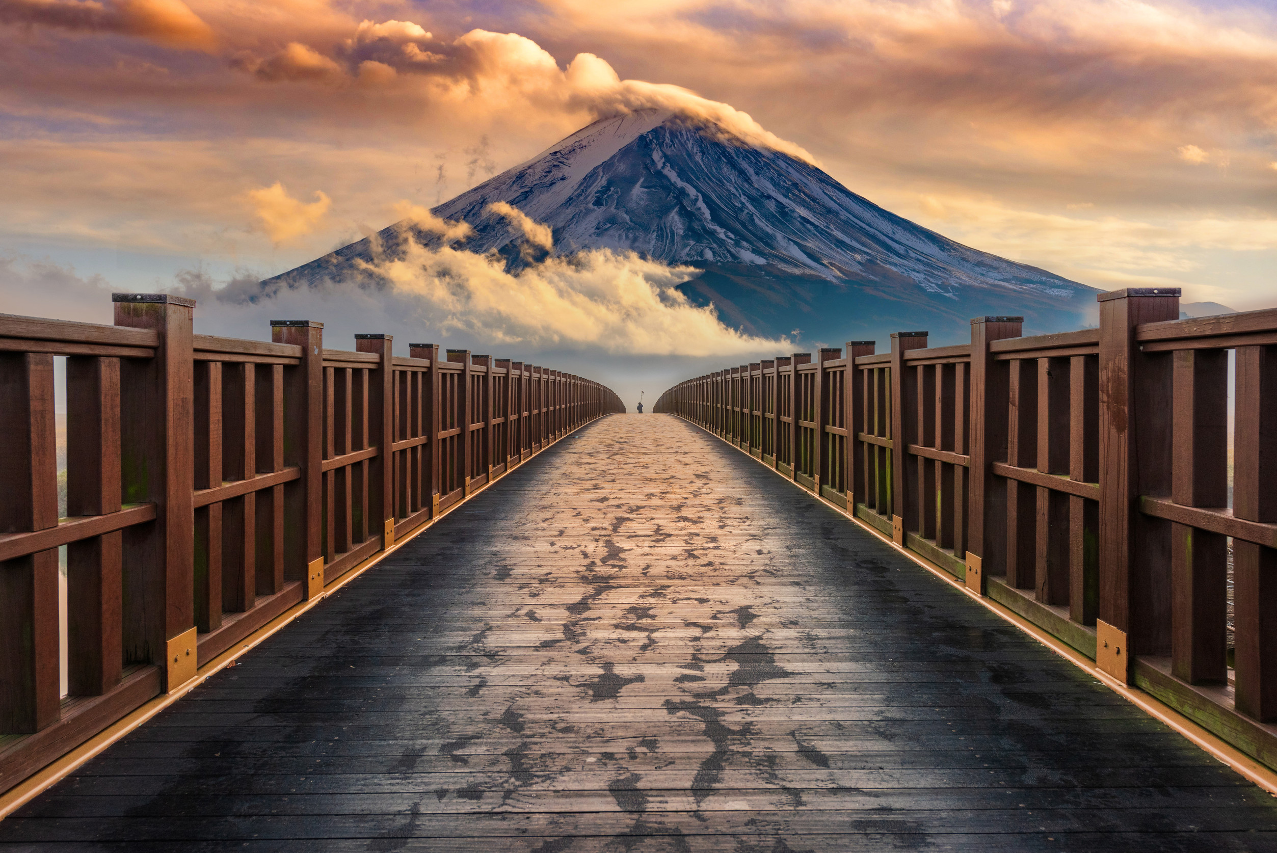 Mount Fuji