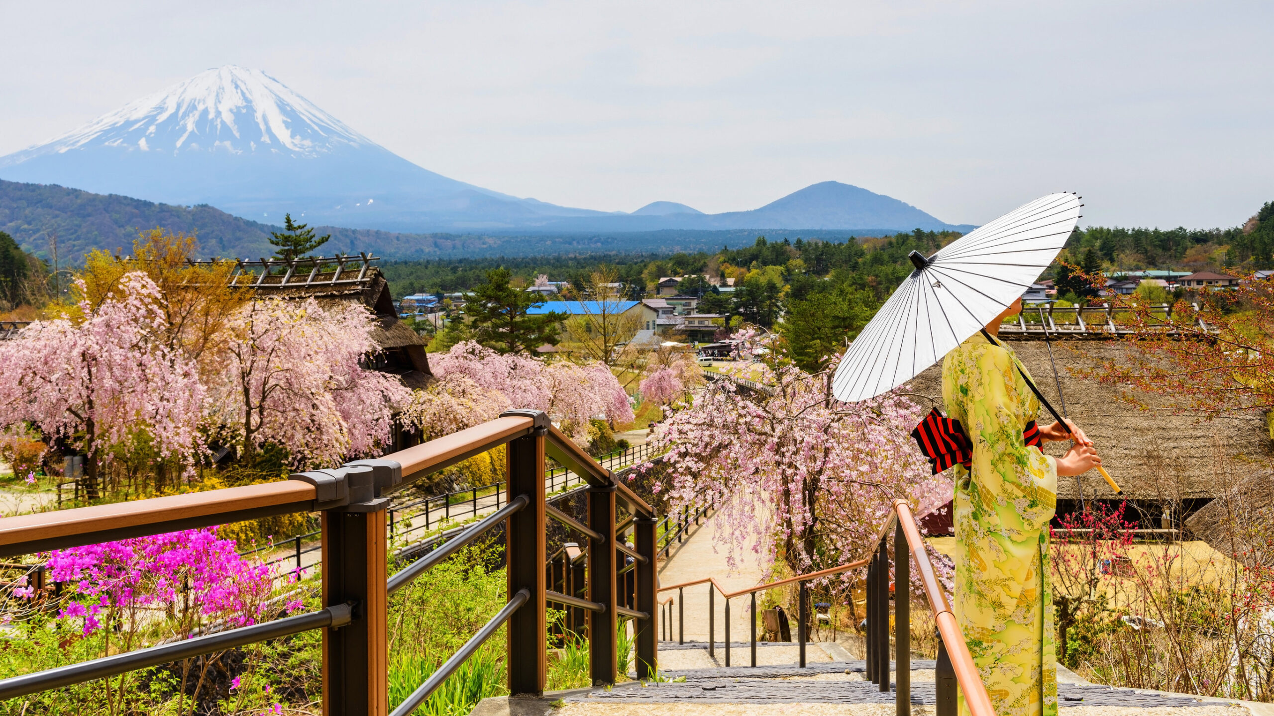 Saiko Iyashi no Sato Nenba village with Cherry blossom