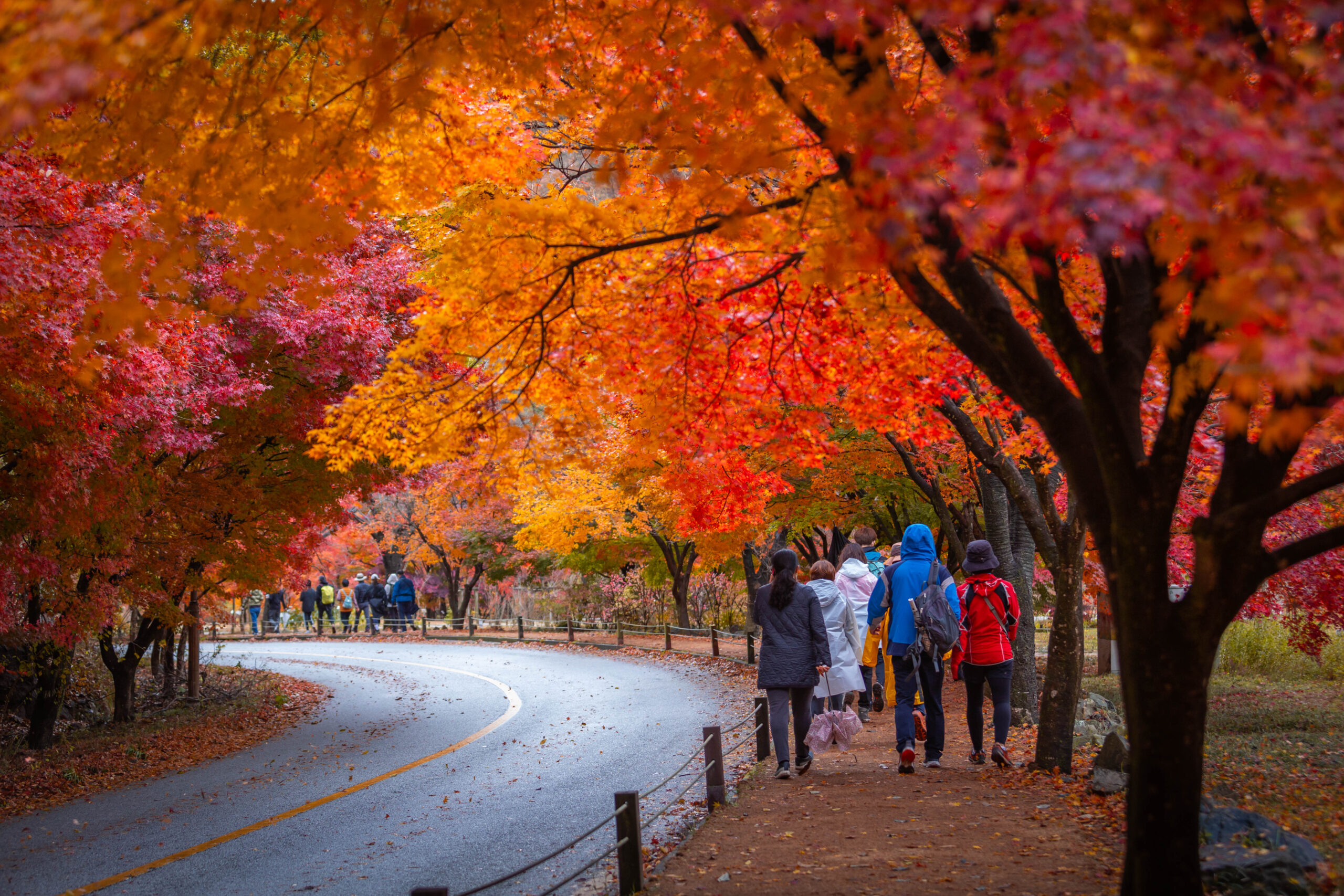 Korea autumn