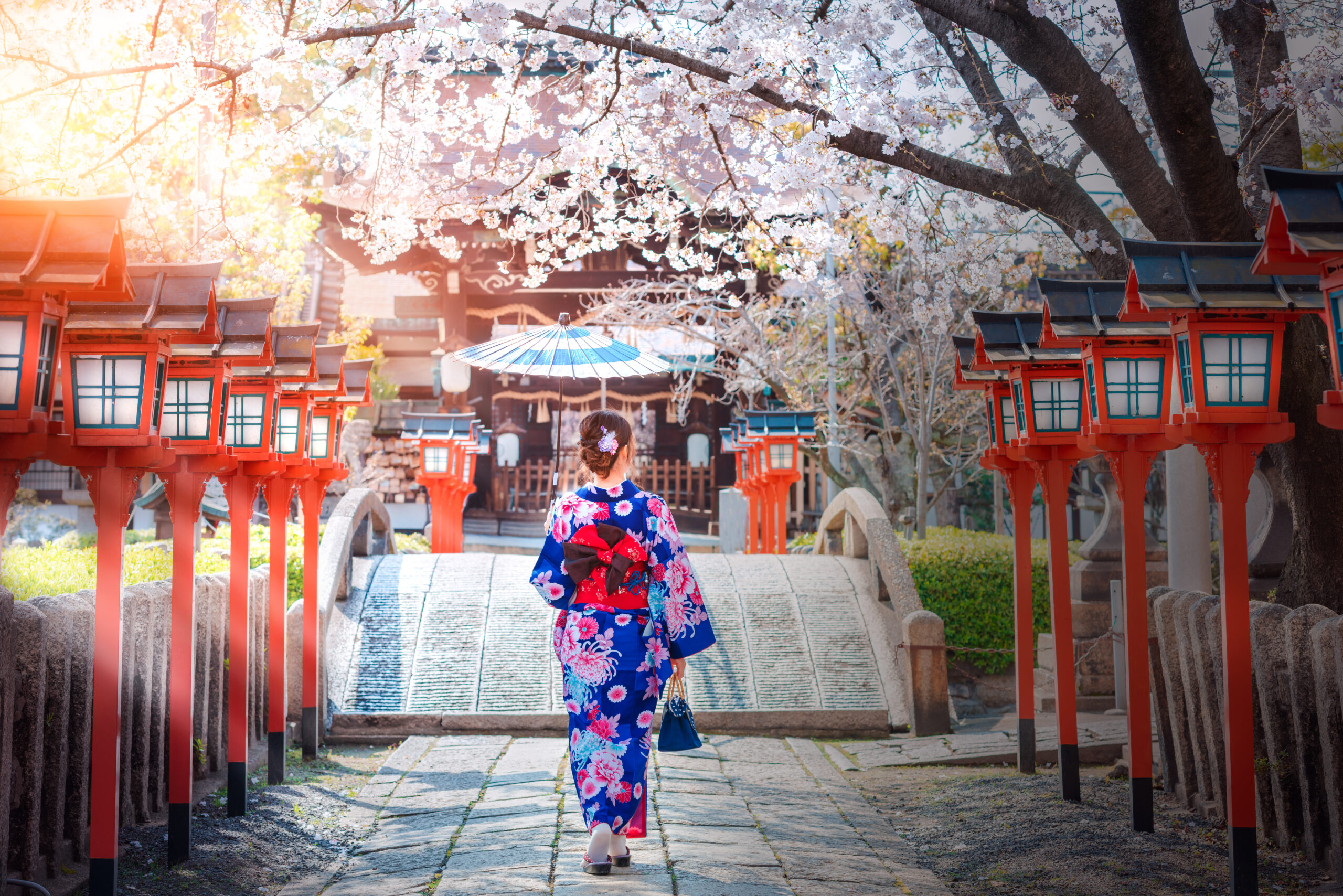 Japan Mt Fuji temple